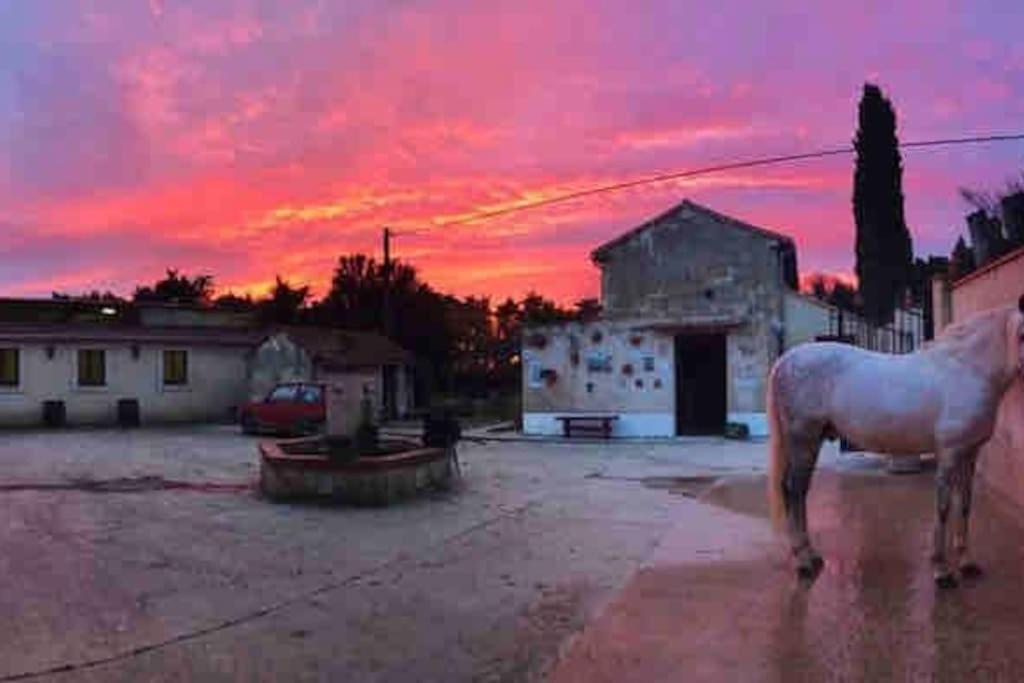 Logement Insolite Au Coeur D'Une Ecurie Arles Exterior foto